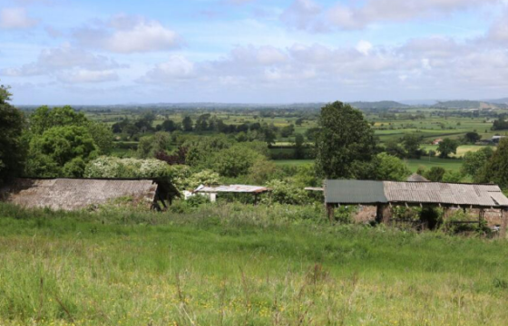 Development Potential in Glastonbury photo